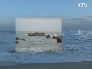 동해에서 새로운 바위섬 700개 찾았다