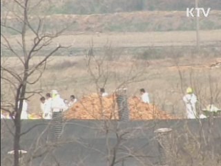 "가축 매몰지 지하수 오염 확인 안돼"