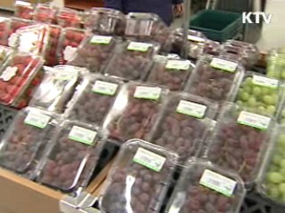 정부, 서비스·가공식품 물가 안정 총력