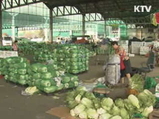 정부 지원정책 힘입어 농산물 수출 '쑥쑥'