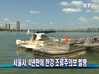 서울시, 4년만에 한강 조류주의보 발령