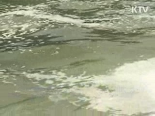 경남 해역 '적조경보' 발령···양식장 피해 우려