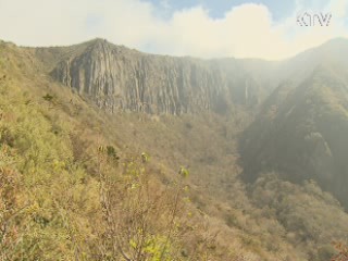 "산림자원 가치 재창조···국민행복 기여"