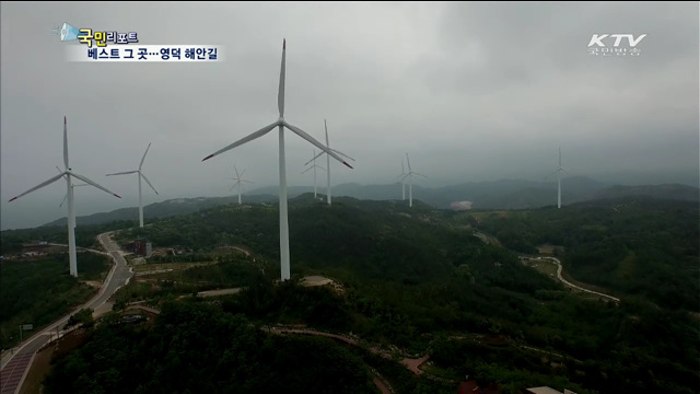 네티즌 선정 베스트 그 곳 '영덕 블루로드'