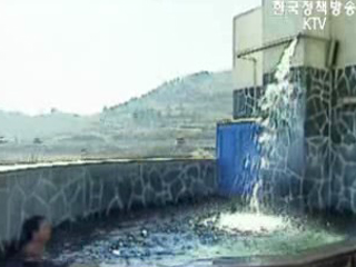 보양온천 연내 도입