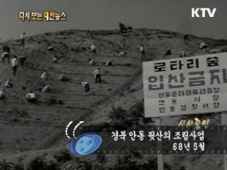 경북 안동 뒷산의 조림사업(68')