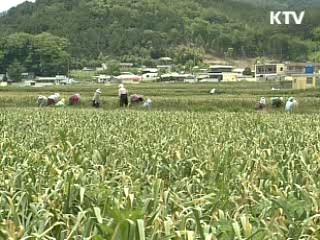 주력 수출품목 관세철폐 시기 조율