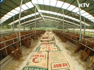 불량 수입 쇠고기, 계산대서 걸러낸다