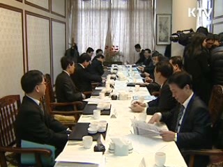 "투기 차단 위해 금융규제도 검토"