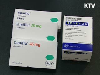 신종플루, 예비비 1천200억원 투입