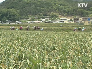 30년 동안 농가수 절반 이상 감소