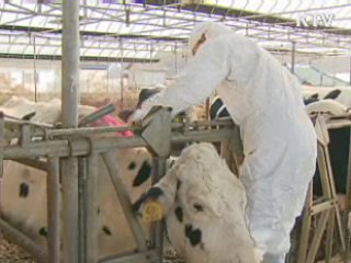 축산 관계자 귀국시 방역검사 의무화