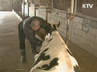 농림어가 고령화 빠르고 가족수는 줄어