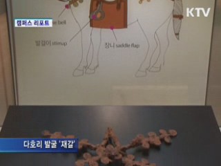 창원 유적·유물 특별전