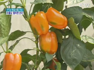 수출선도조직…농수산 경쟁력 '쑥쑥'