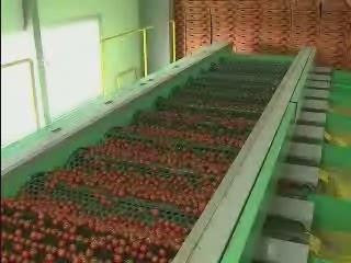 농식품 수출 대책 보완 '100억 달러 수출'