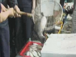 정 총리, 노량진 수산시장 방문