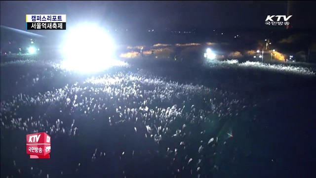 하늘공원, 가을의 멋 억새꽃 장관