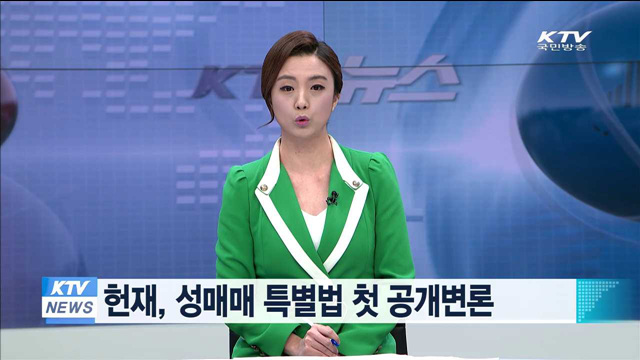 헌재, 성매매 특별법 첫 공개변론