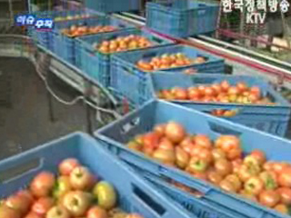 심층취재 “탐사”