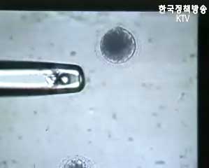 생명윤리위, 난자기증수 제한