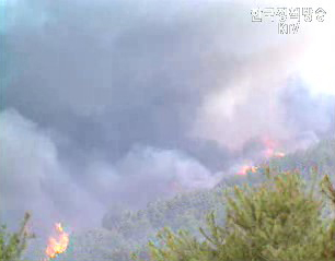 농림부, 산림청, 울산서 산불대책회의