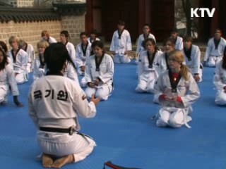 고궁에서 세계인과 함께 즐기는 '태권도 문화 공연' [문화현장]