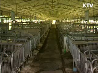 SI 대응 민·관TF 운영