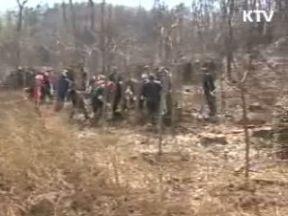 숲가꾸기 근로자 6천여명 추가모집