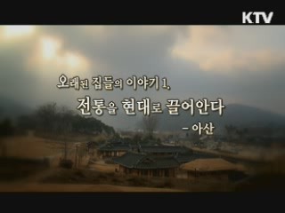 오래된 집의 이야기 1. 전통 안에 살다 - 아산 [대동문화도]