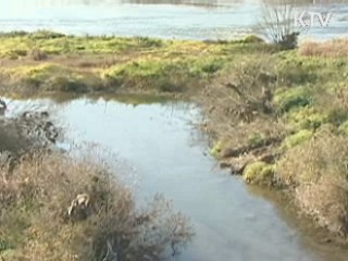 영산강 구조개선 '바닷물 오염 없다'
