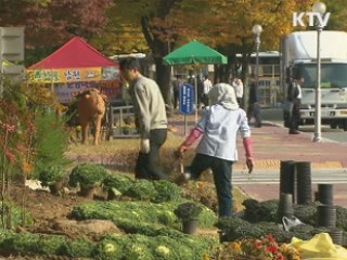 취약계층-구인업체 직통 잡콜 서비스 개시