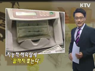 지능적 해외탈세 '끝까지 쫓는다'