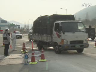 고양시도 구제역…수도권 확산 차단 총력