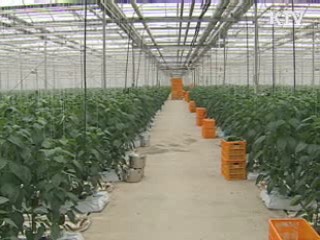 "농식품 수출 76억달러 목표 달성"