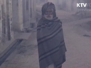 부산 국제영화제, 주목할 영화들