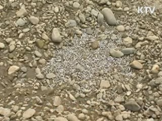 한-인도네시아 대규모 협력사업 '급물살'