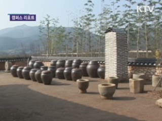 '뿌리 깊은 나무' 박물관 개관