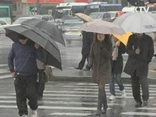 보슬보슬 봄비, 경제적 가치 213억원