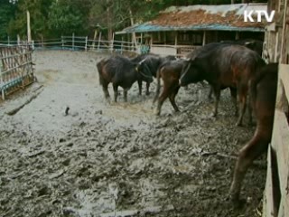 정책 오늘 (139회)