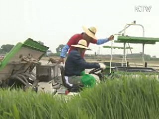 이 대통령, 전북 김제 방문 모내기 도와