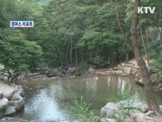 금원산 자연휴양림 [캠퍼스 리포트]