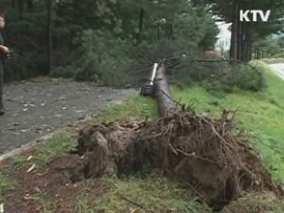 '가을태풍' 강력한 위력···이유는?