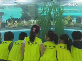 '우리땅 독도' 관심 타고 해양박물관 인기