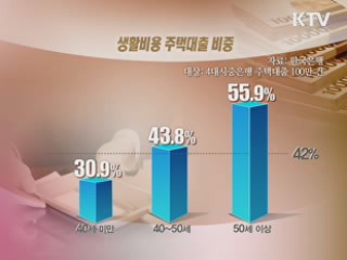 '가계부채 뇌관' 고령층 생계형 빚 급증