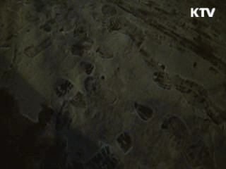 버스서 고민 상담 '움직이는 청소년센터' [캠퍼스 리포트]