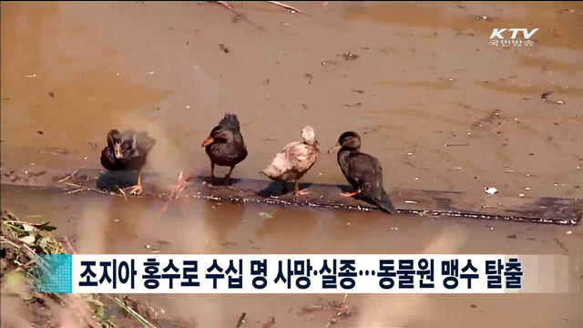 조지아 홍수로 수십 명 사망·실종…동물원 맹수 탈출