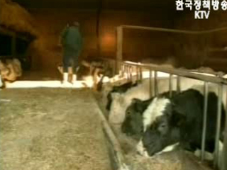 `뼈 수입` 압박 예상