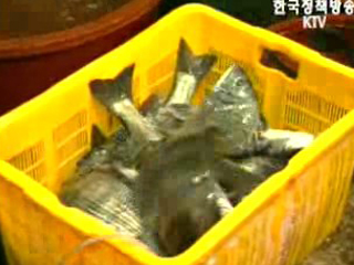 프레시안 포르말린 보도 관련 해수부 입장