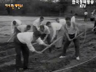 빈터에 곡식을 심자(`63)